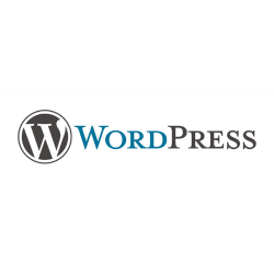 WordPress Website Laten Maken